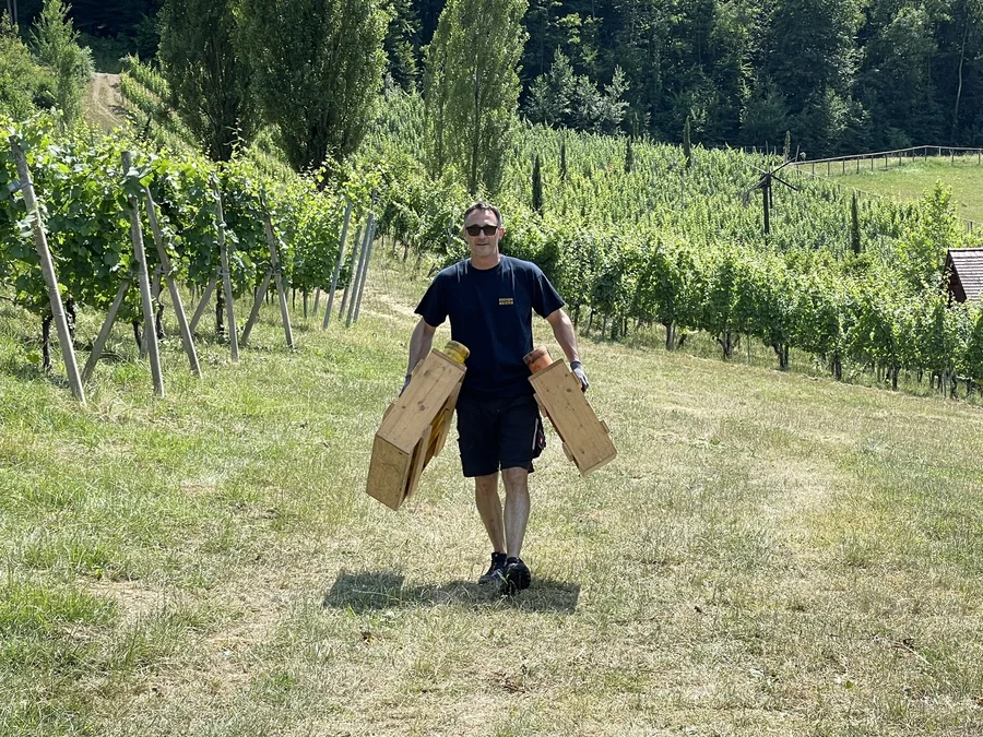 Andi transportiert Feuerwerksgestelle beim Aufbau in einem Weingarten.